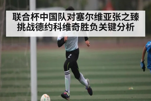 联合杯中国队对塞尔维亚张之臻挑战德约科维奇胜负关键分析